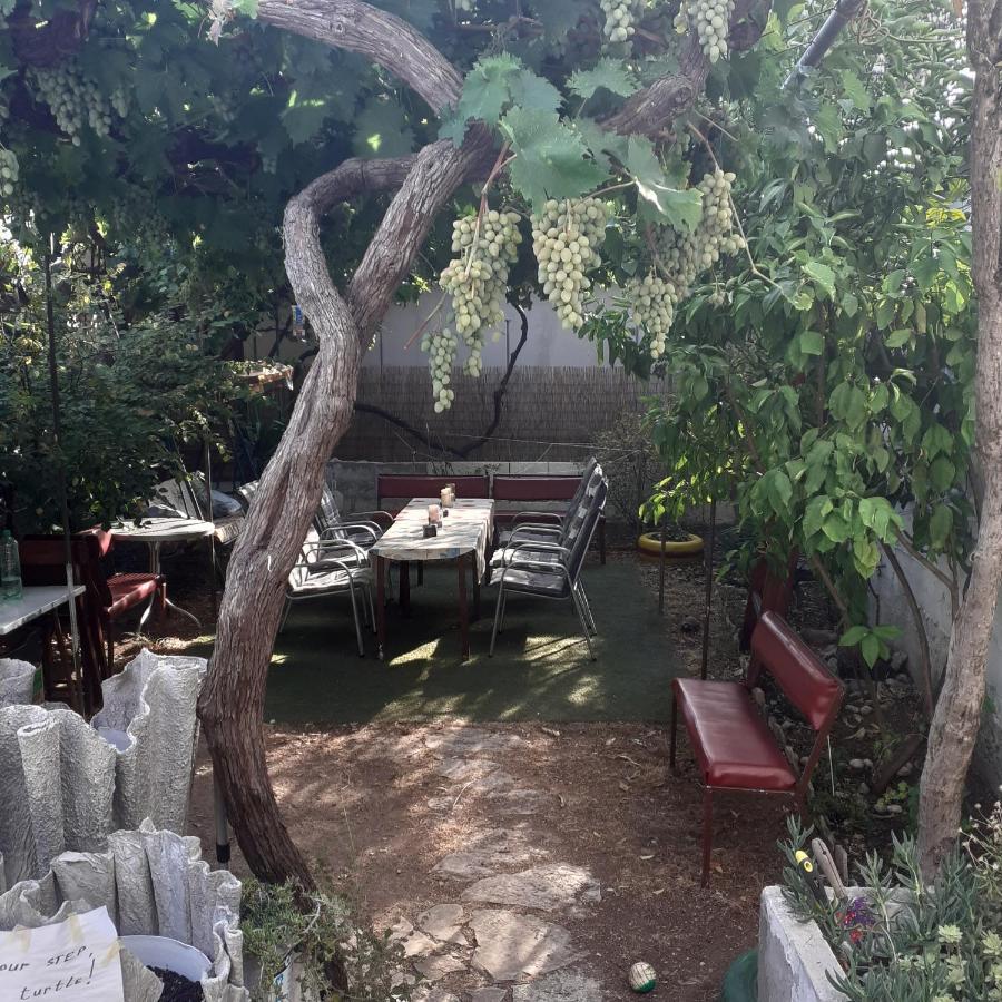 פאקוסטאן Apartmani Damir Kazija מראה חיצוני תמונה