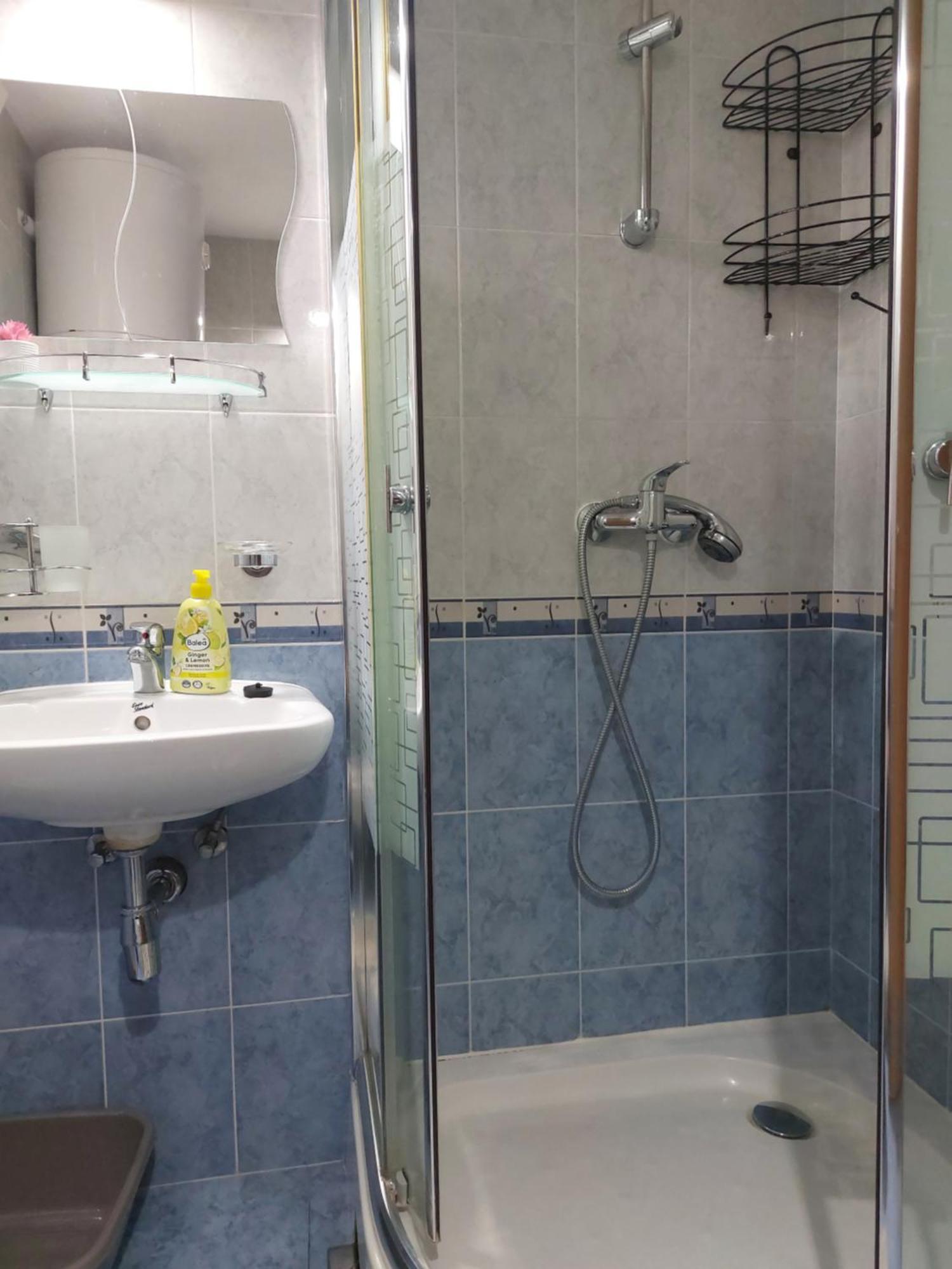 פאקוסטאן Apartmani Damir Kazija מראה חיצוני תמונה